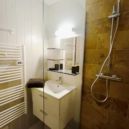 Le Nid Des Bains - Climatise - Piscine Partagee דירה דינייה-לה-בן